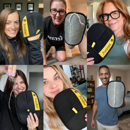 PurePet™ Glove